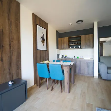 Casa D Argento Apartment Veliko Gradište